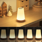 Lumora Night Light LED 13 Color Changing